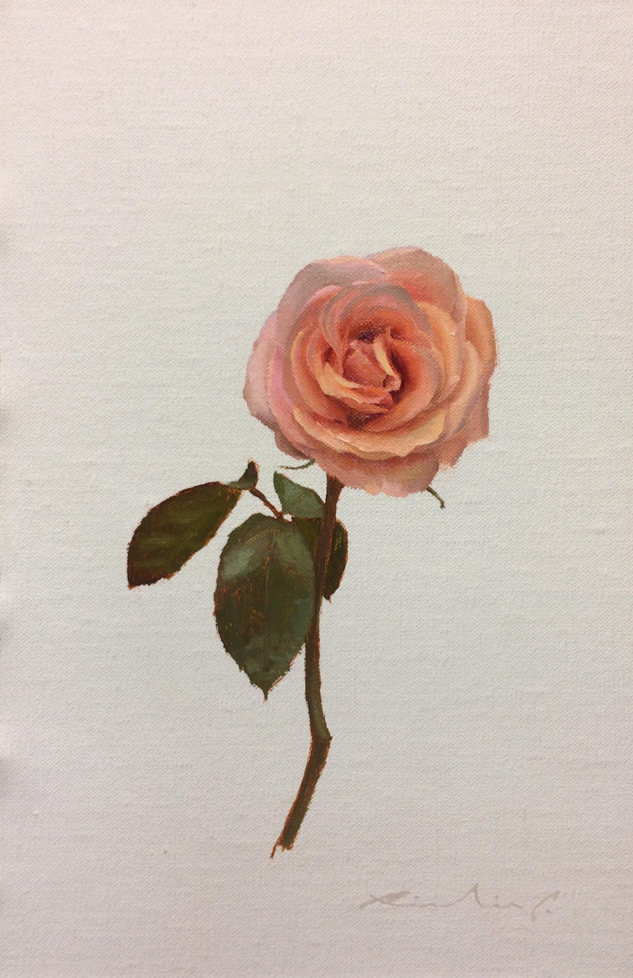 Carter_Rose2_8x12.JPEG