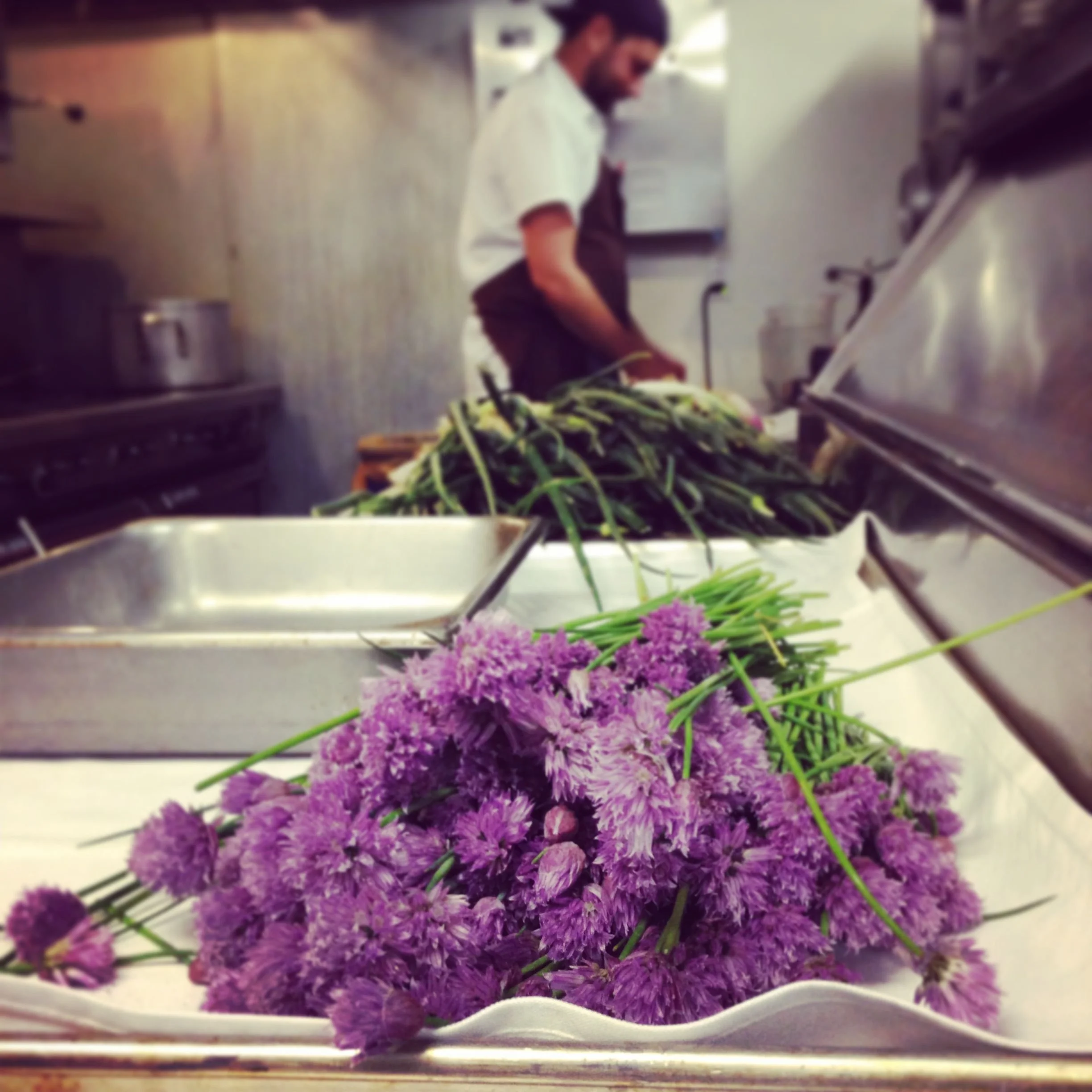 A metal kitchen countertop with purple flowers, possibly lavender, in the foreground. In the background, a person in a chef's coat and glasses is working in a kitchen.