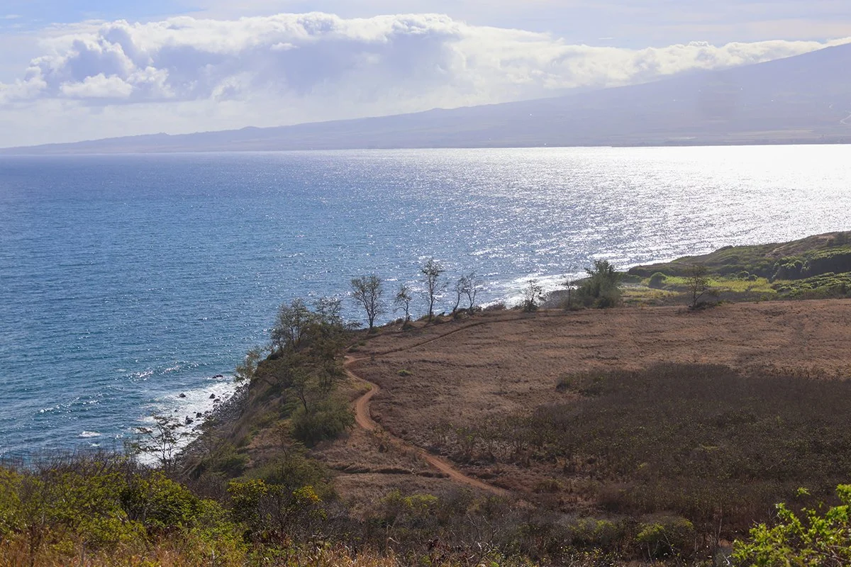 0F9A8131 copy Maui landscape.jpg
