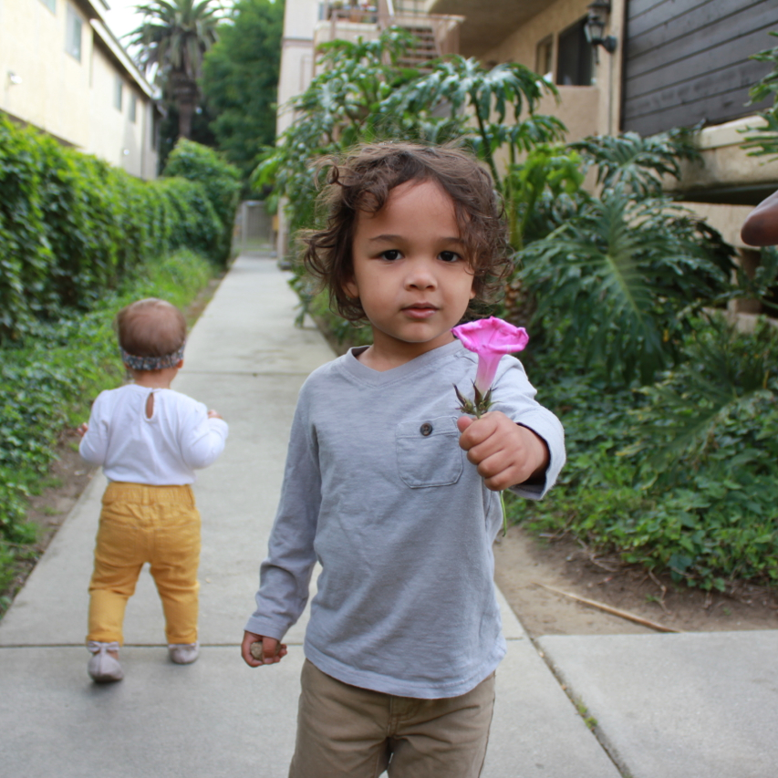 Here Kingston is giving me a flower for surviving year 3 ;)