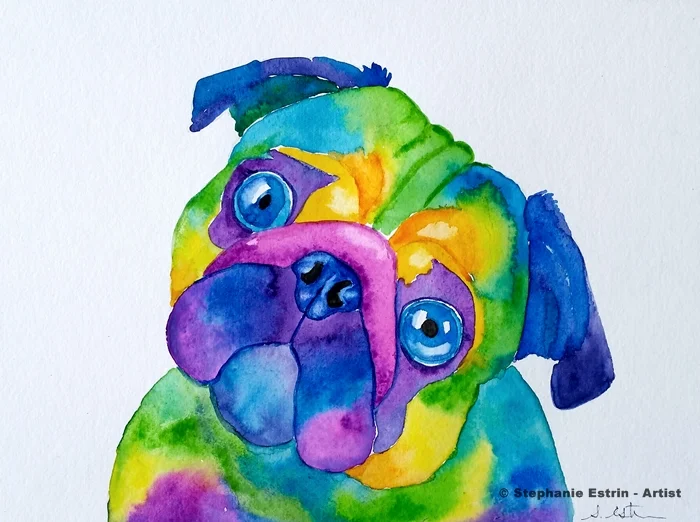 pugresized (2).jpg