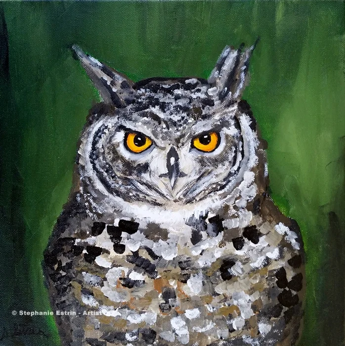 owlresized.jpg