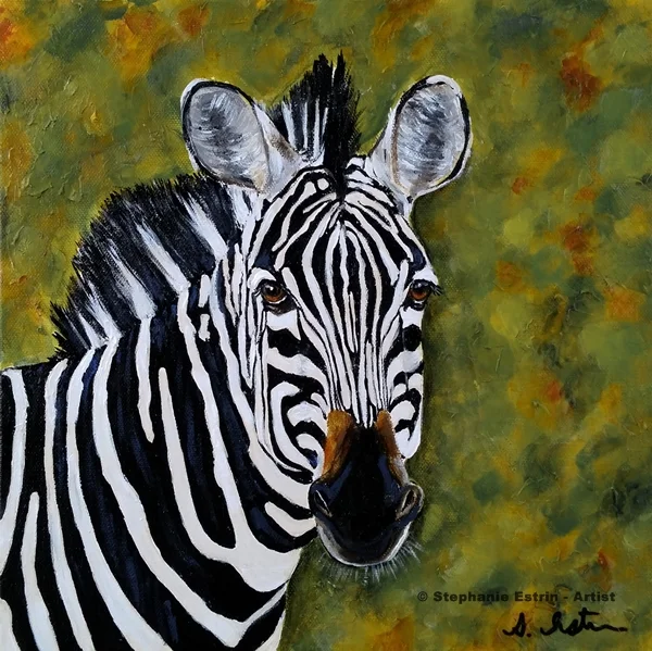 zebraresized.jpg