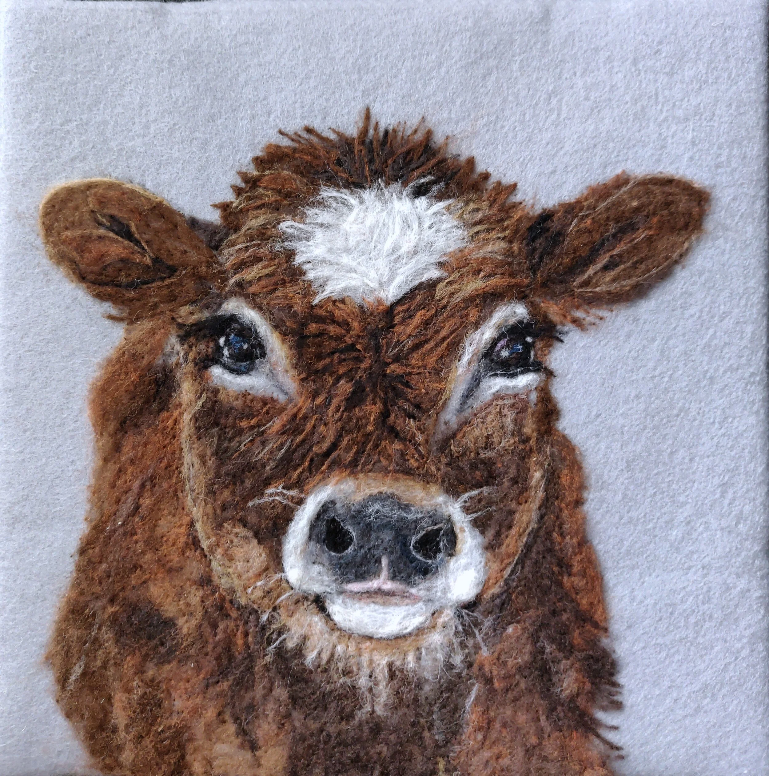 Cow.jpg