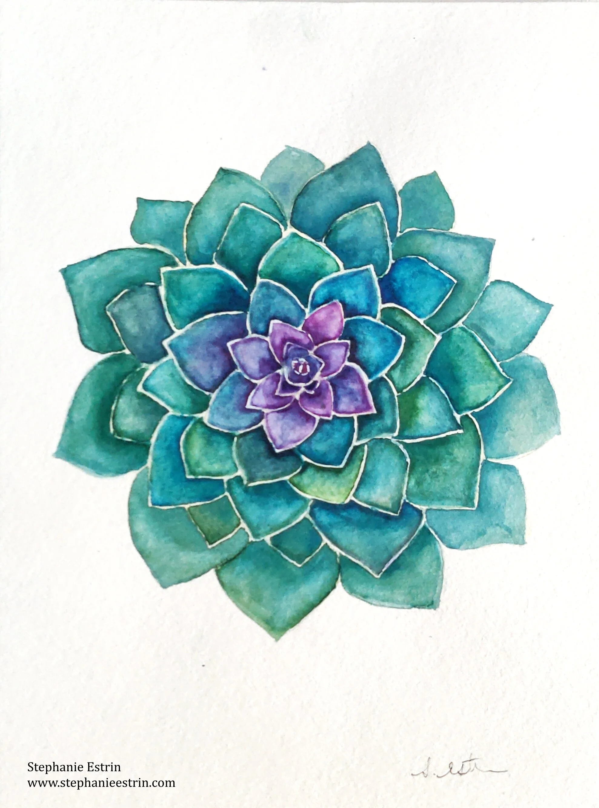 succulentresized.jpg