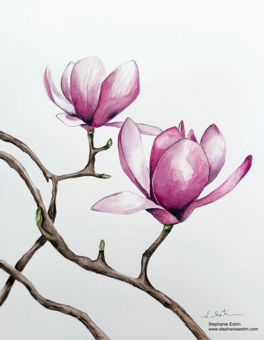 Darling Watercolor Set - Magnolia