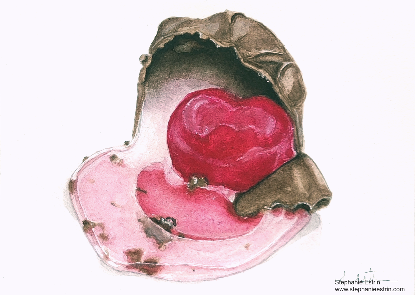 cherrychocolateresized.png