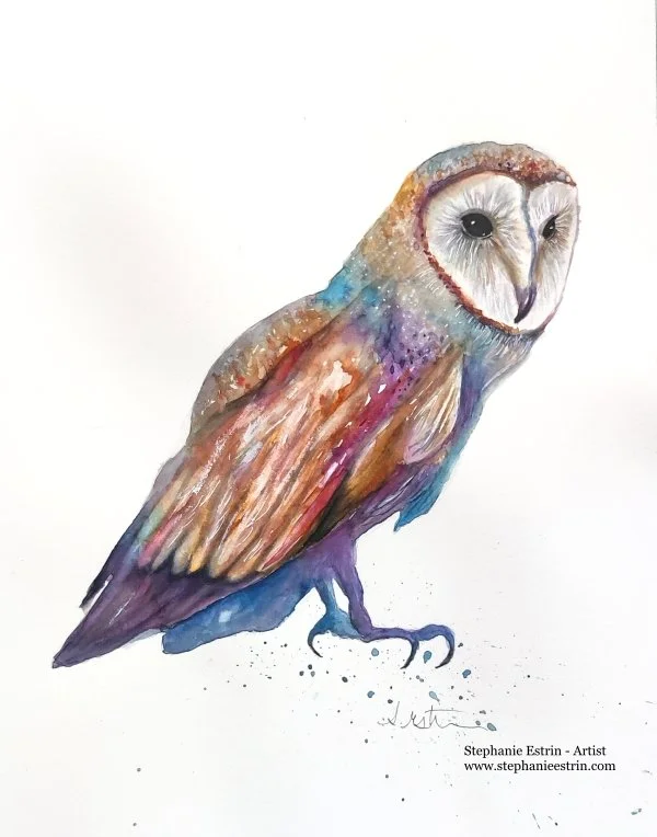 barnowl2024resized.jpg