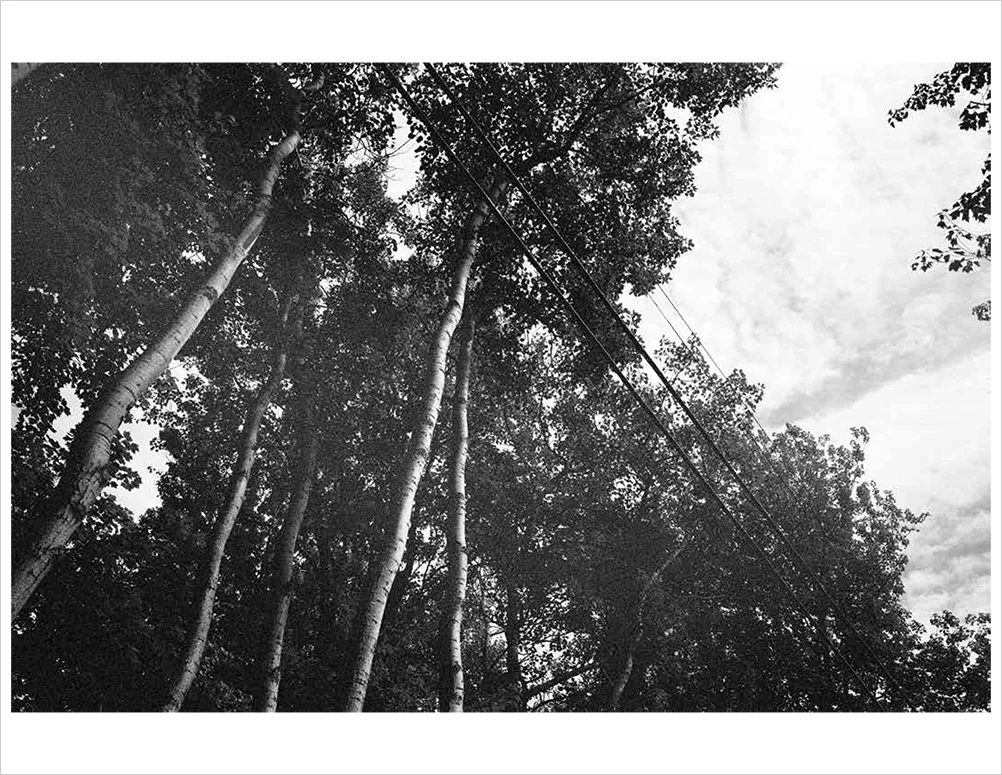 Horizon_Print_Final_LoRes-5.jpg