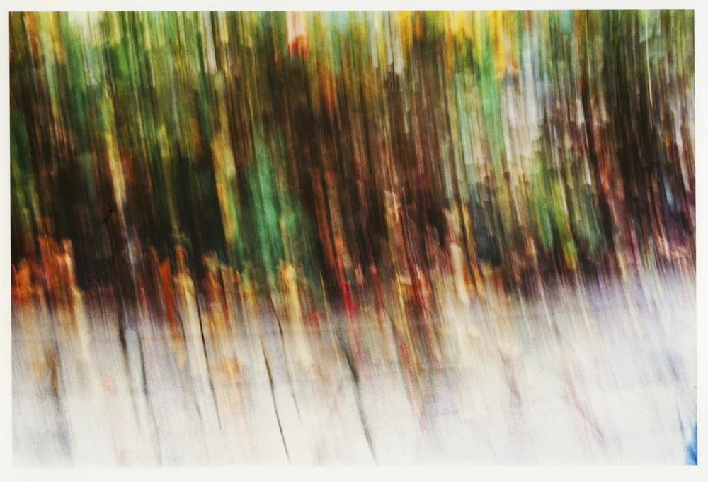 print_Scan_Image 0 (2).jpg