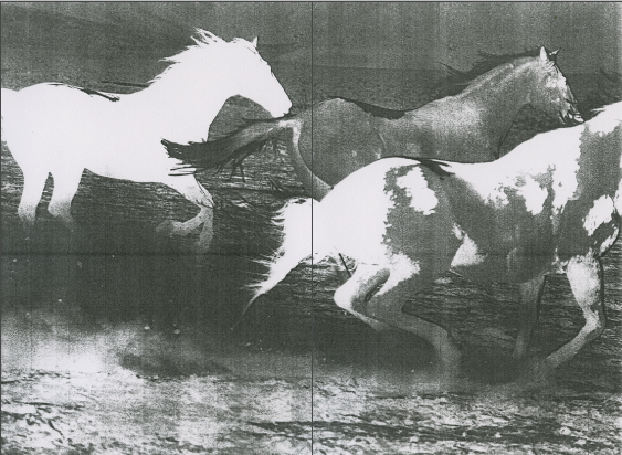 Screenshot 2025-02-19 at 12.33.37 PM.png