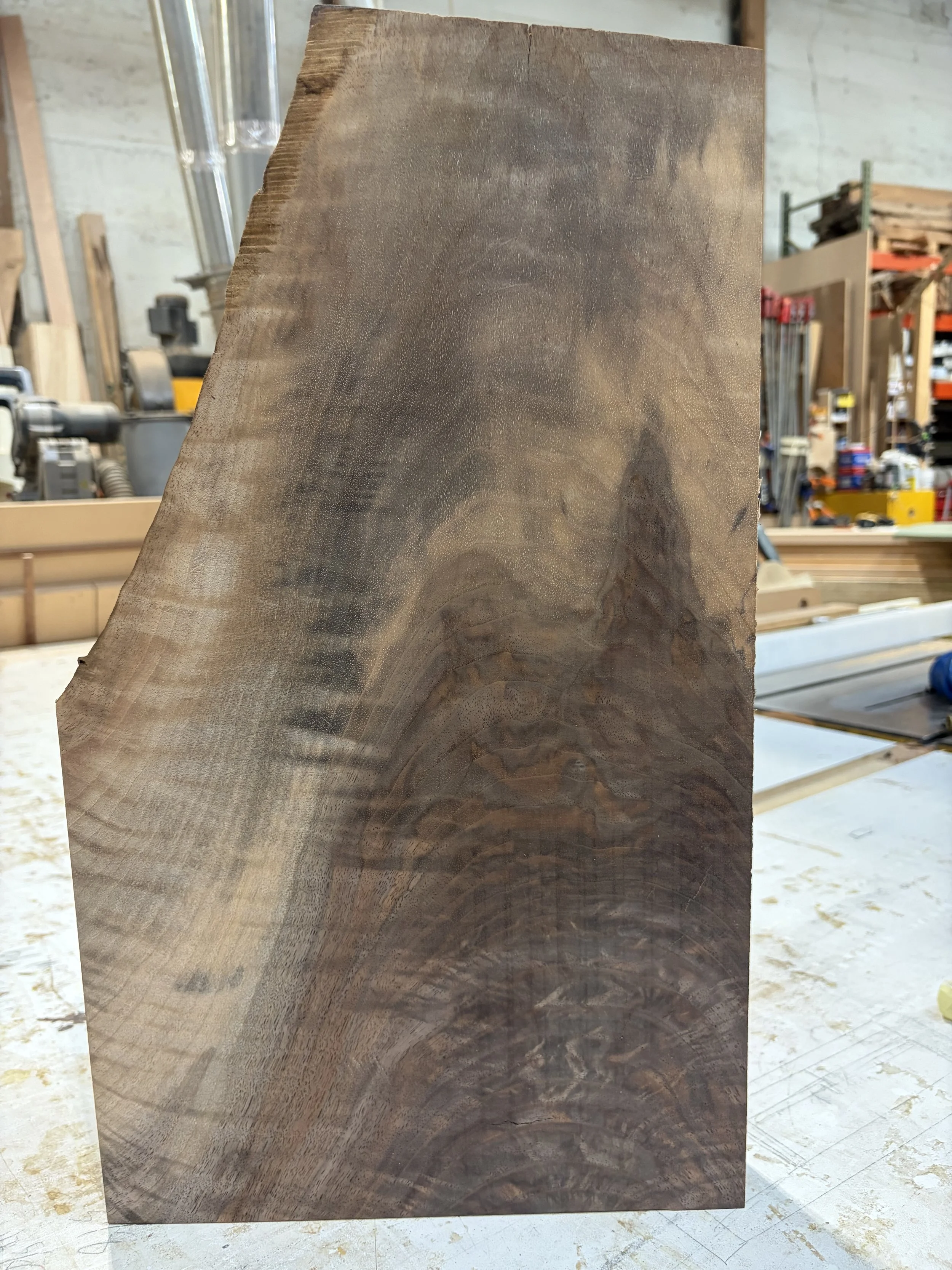 Oregon Black Walnut #020 | 19.5" x 11.5" x 1.875"