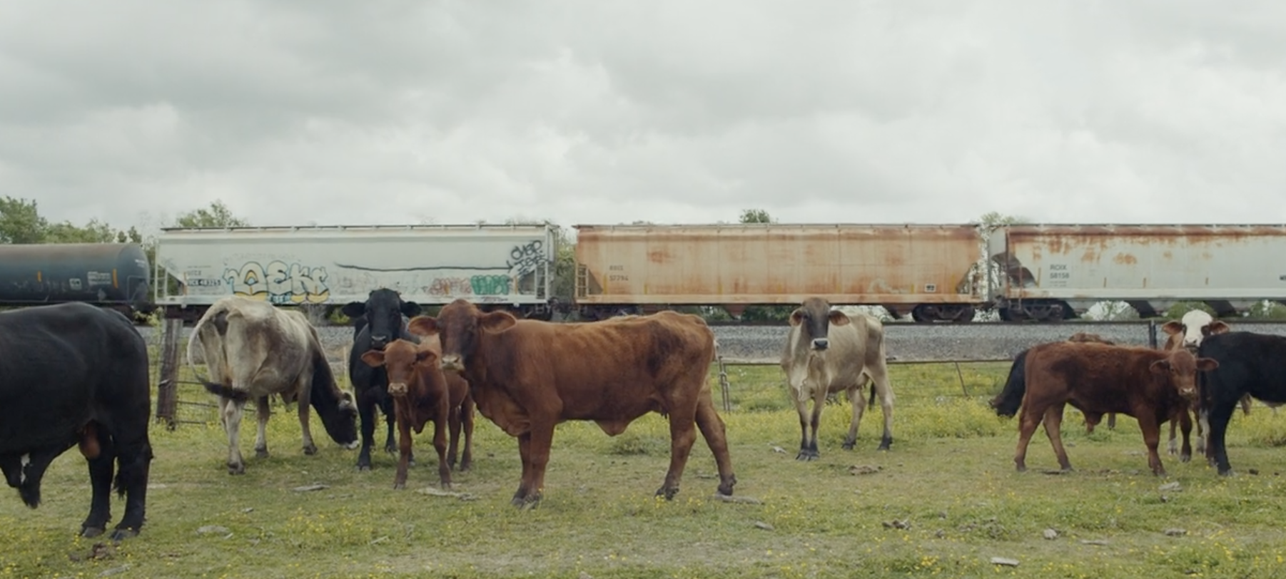 Screen Shot 2018-07-03 at 3.26.19 PM.png