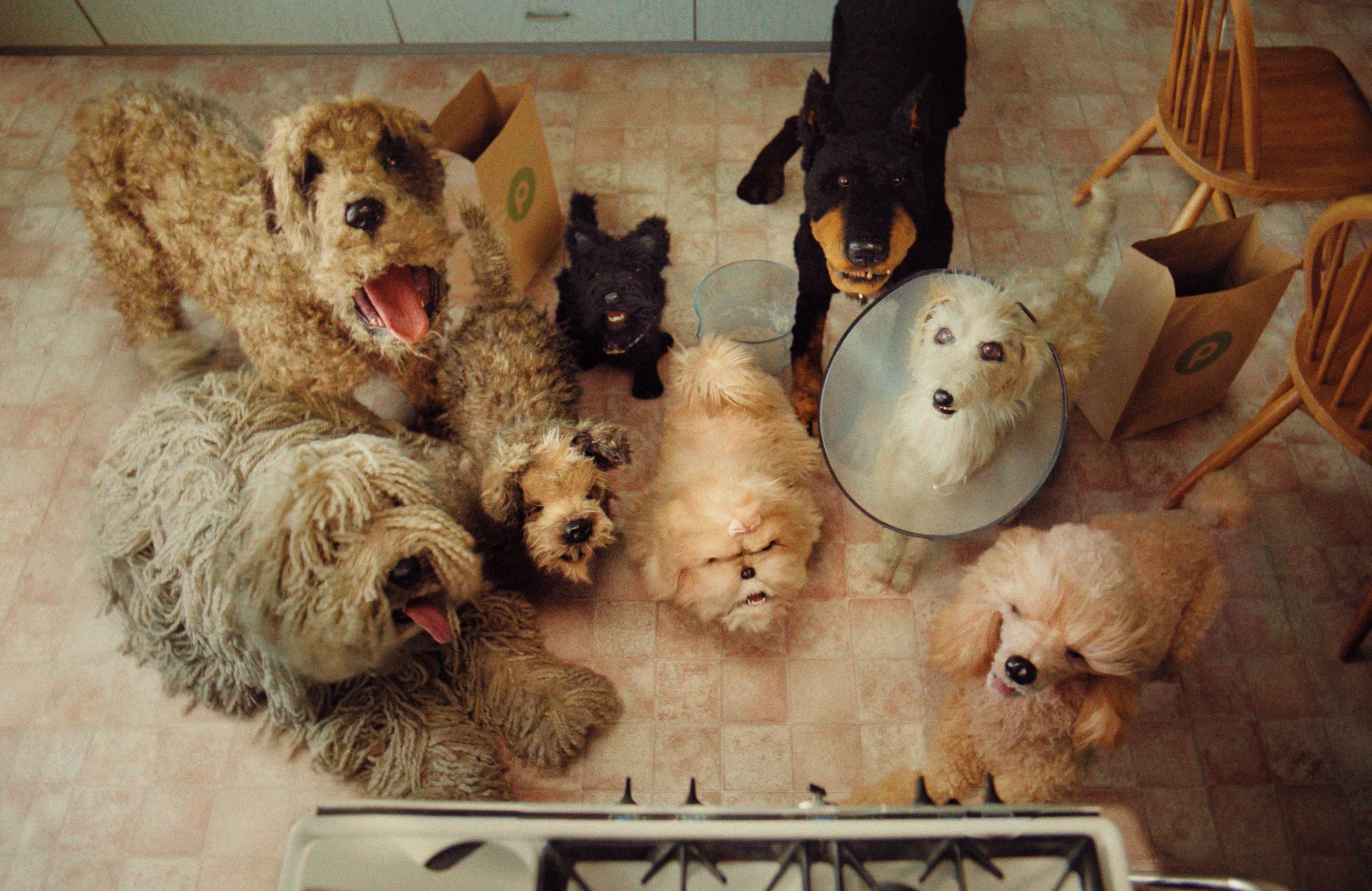 Publix "Best Friends" 