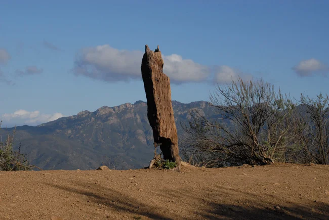 big sycamore canyon guadalasca top.jpg