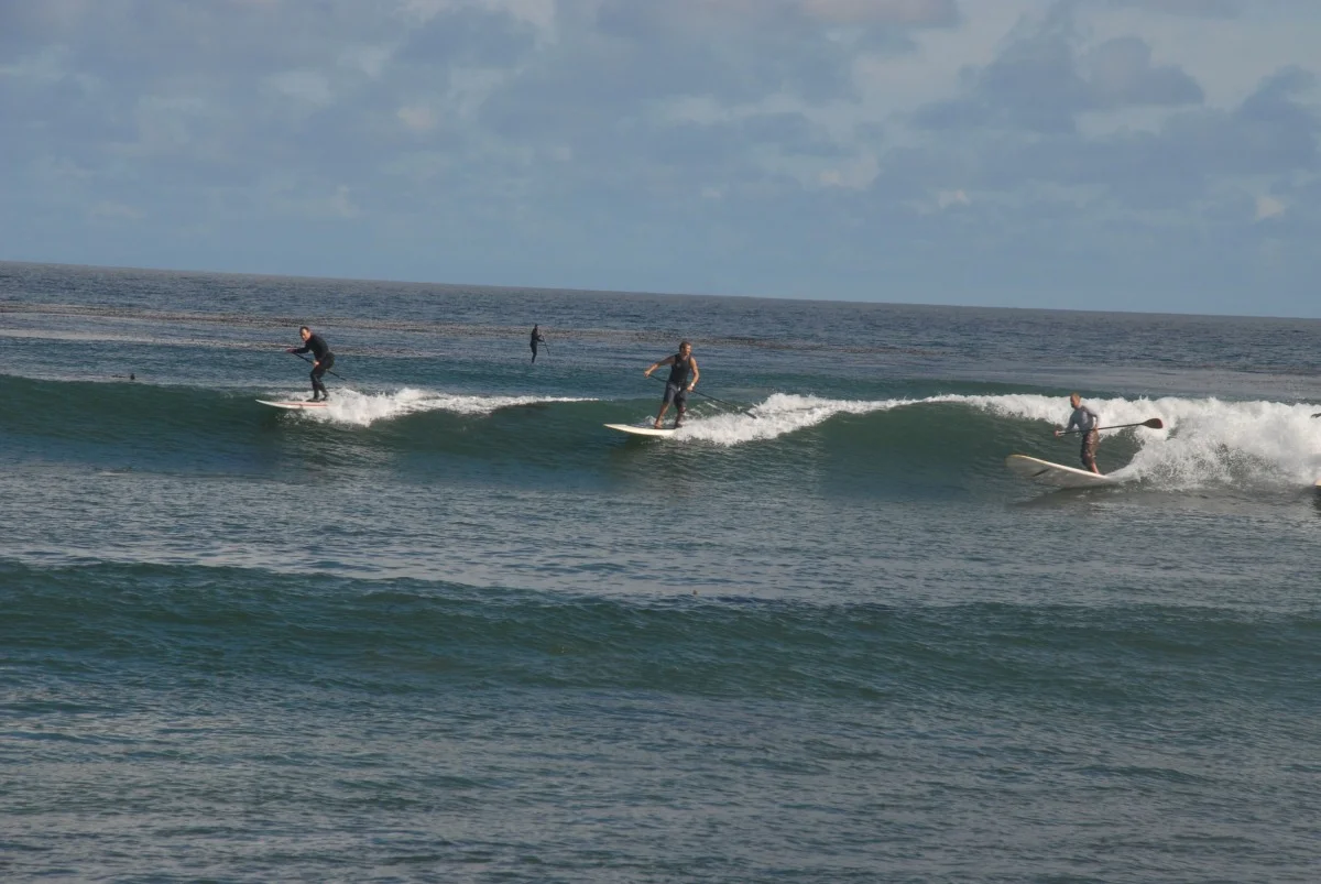 3 on a wave.jpg