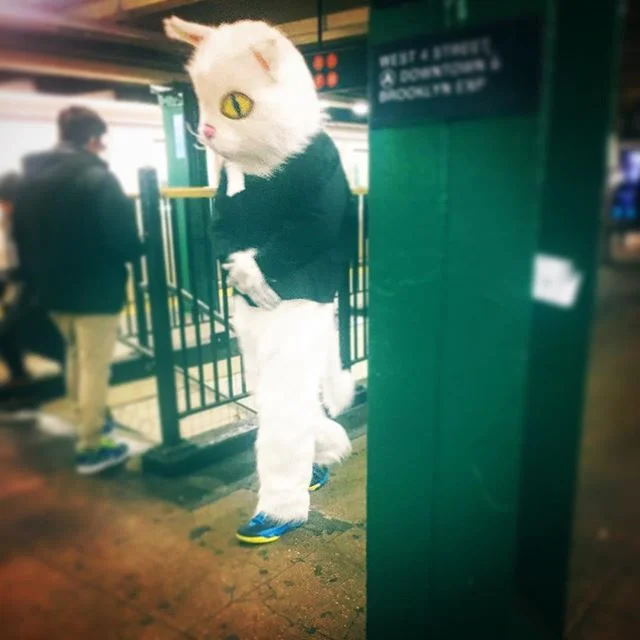 Cool Cat Commuter Costumed Companion #manhattan #subway #artiseverywhere