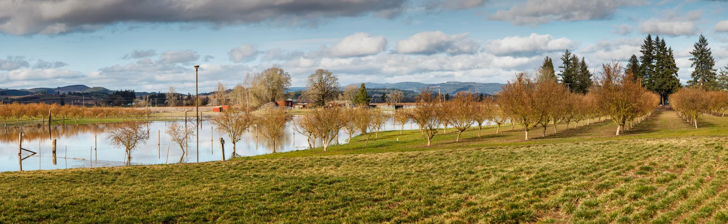 Water&Trees_0000-Edit.jpg