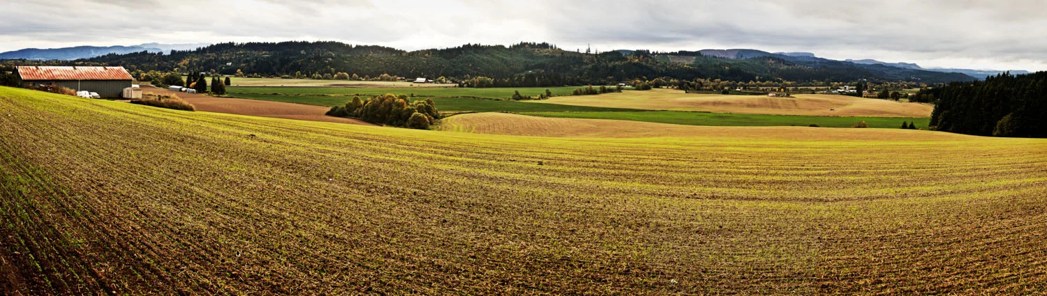 WinterCrop23.8x84 copy.jpg