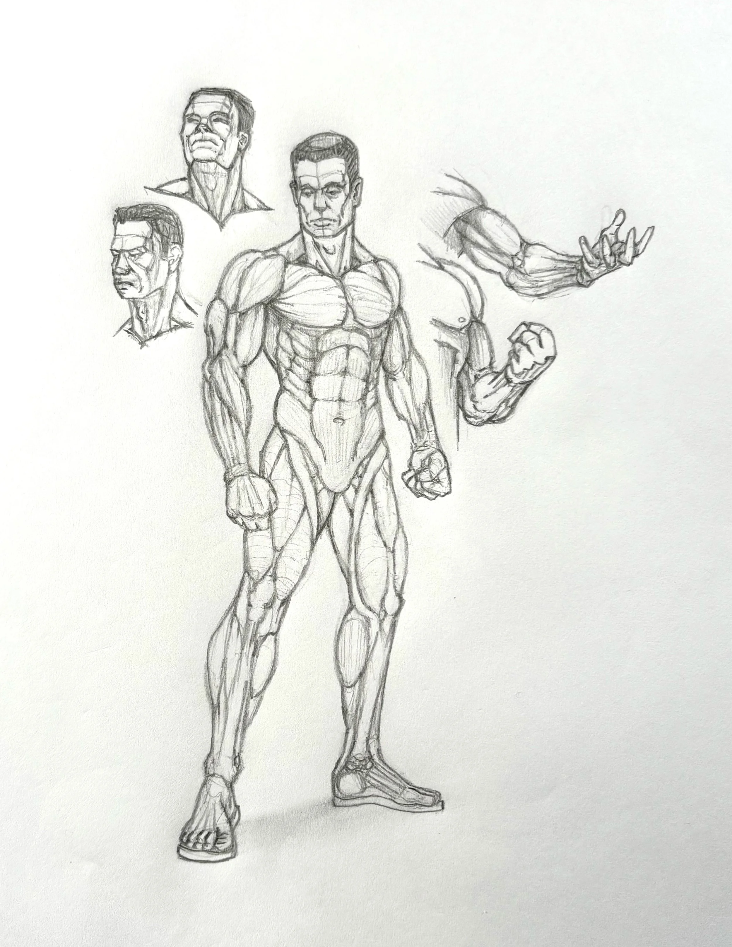 Anatomy study experiment 1.JPG