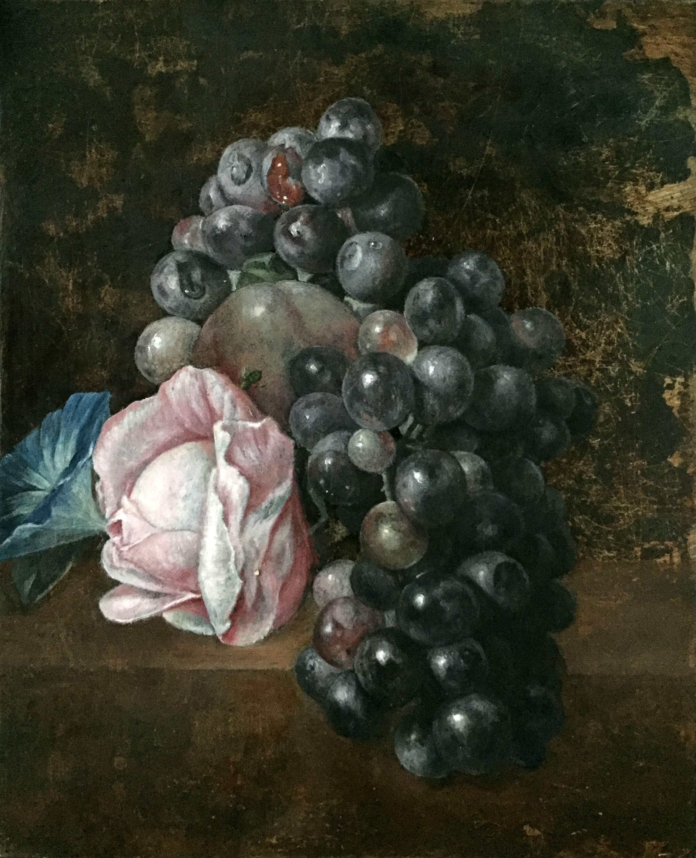Grapes and Rose