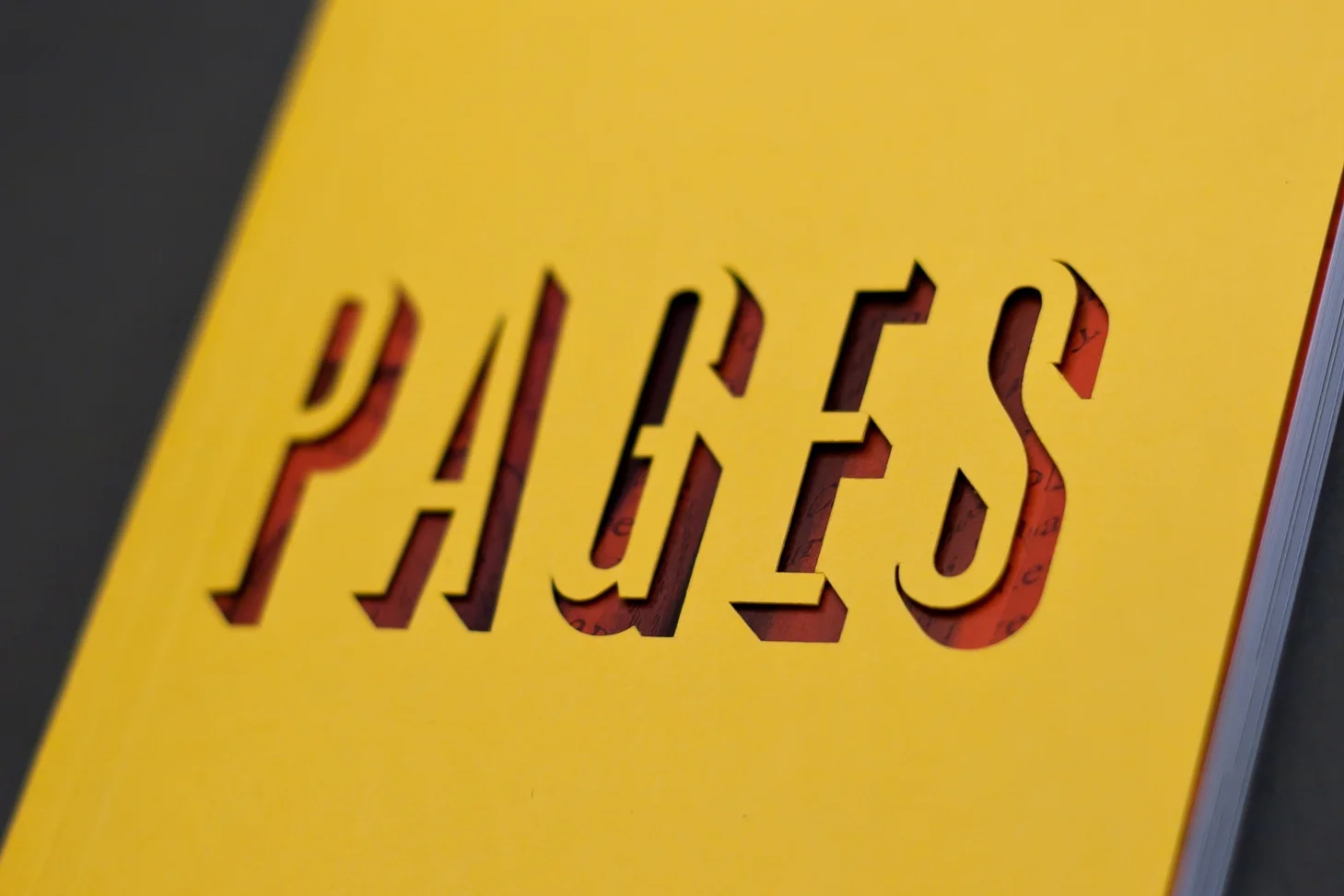 The Pages layout is unique each year, typically playing off of design cues and themes from that year’s student work. In 2013-14, students created works by cutting and manipulating the pages of old books, which inspired the die cut cover for that year’s book.