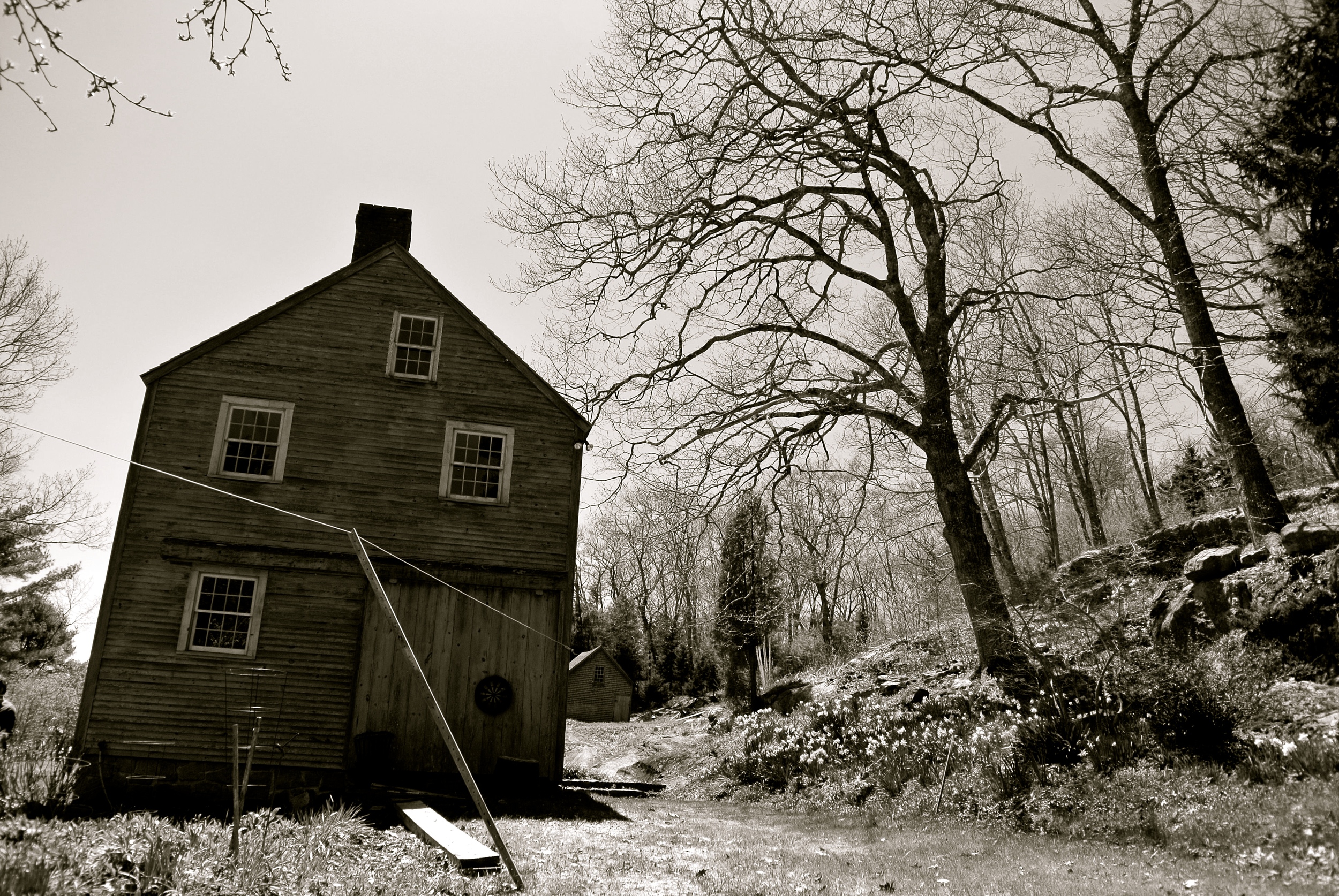 DSC_0539.JPG