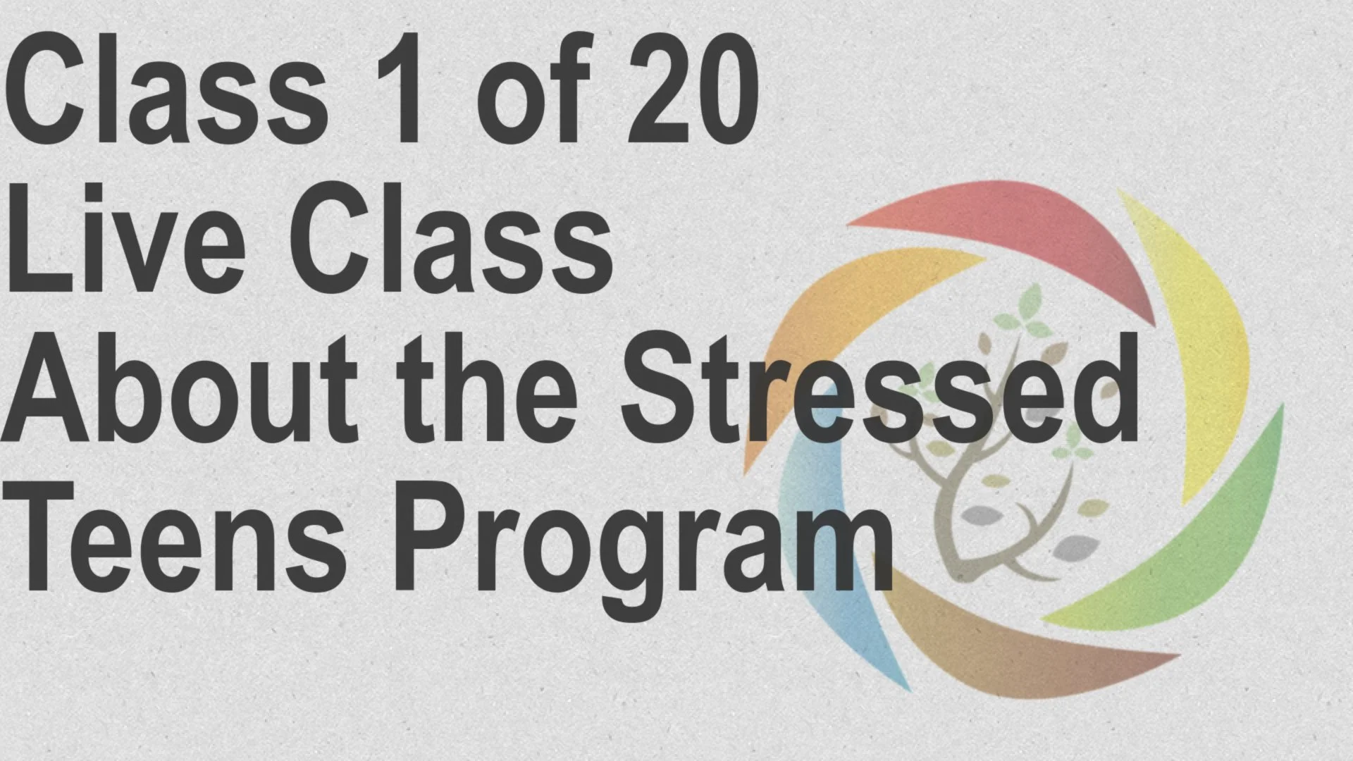 Class_1_of_20_Live_Class_About_the_Stressed_Teens_Program.jpg