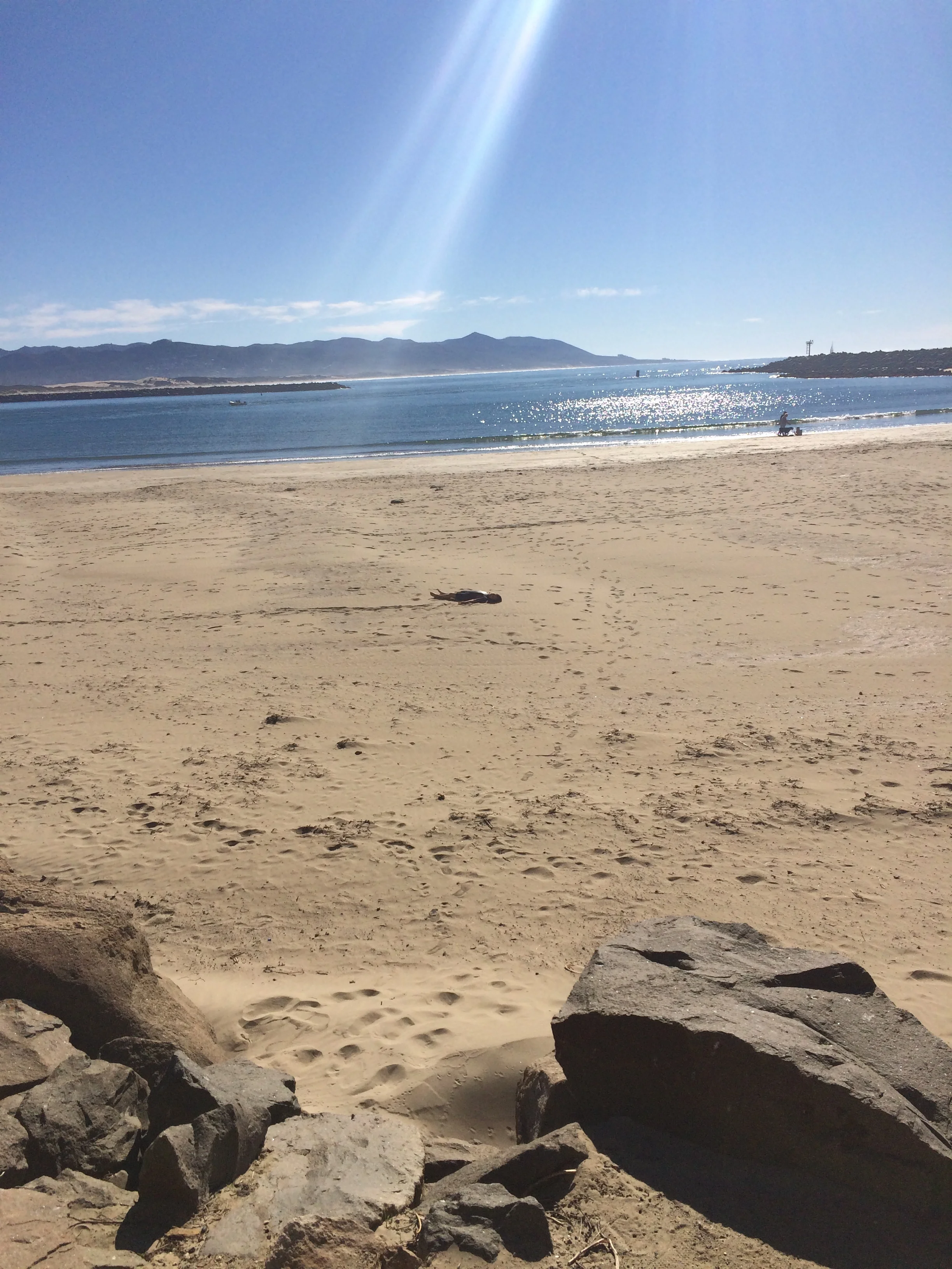 Central Coast Beach
