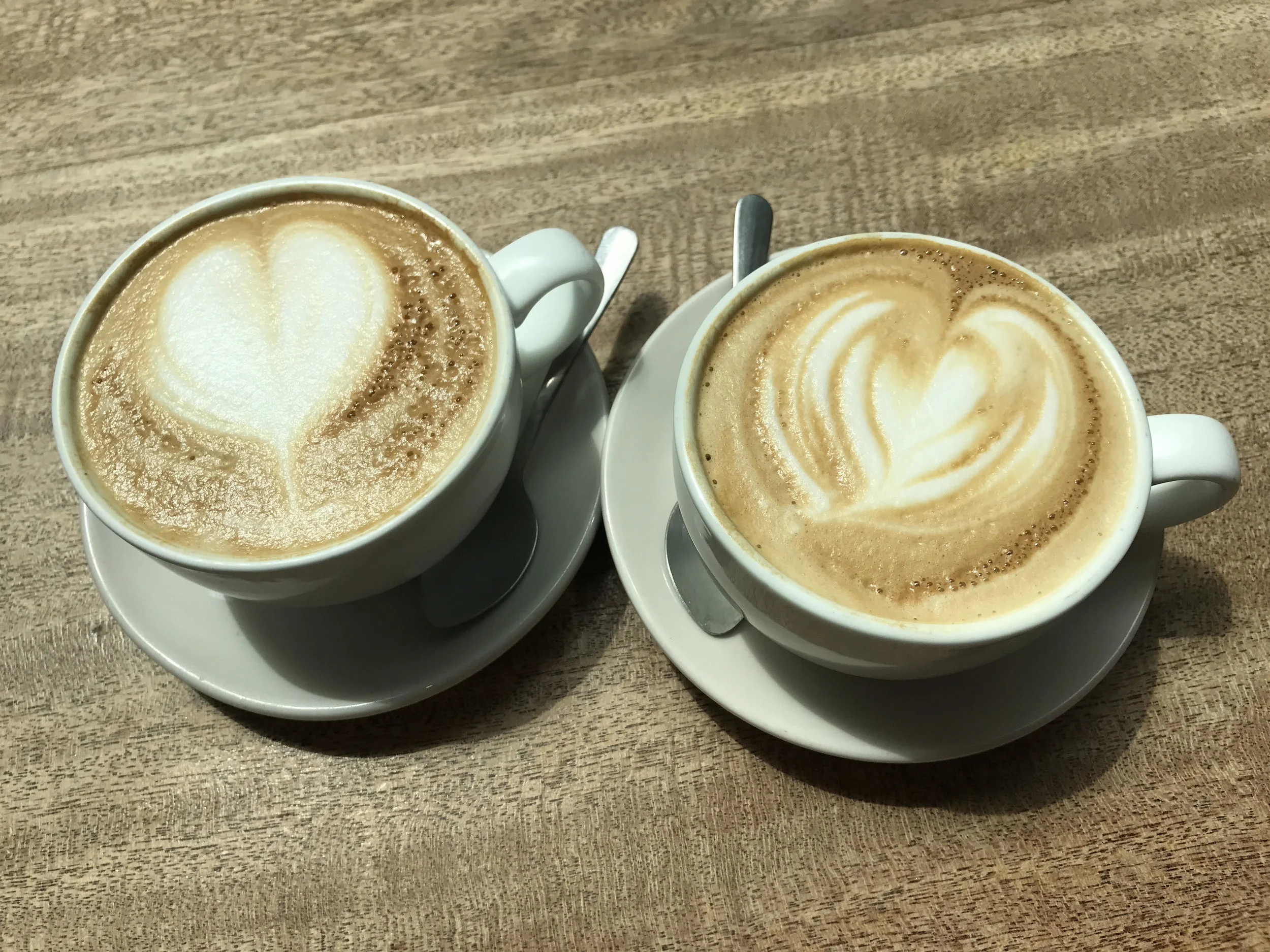 Catching Up With a Dear Friend