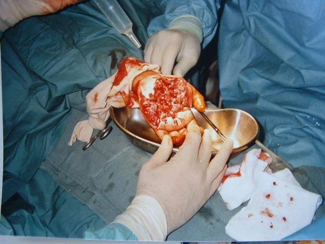Medical Program 081.jpg