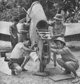 p10.jpg