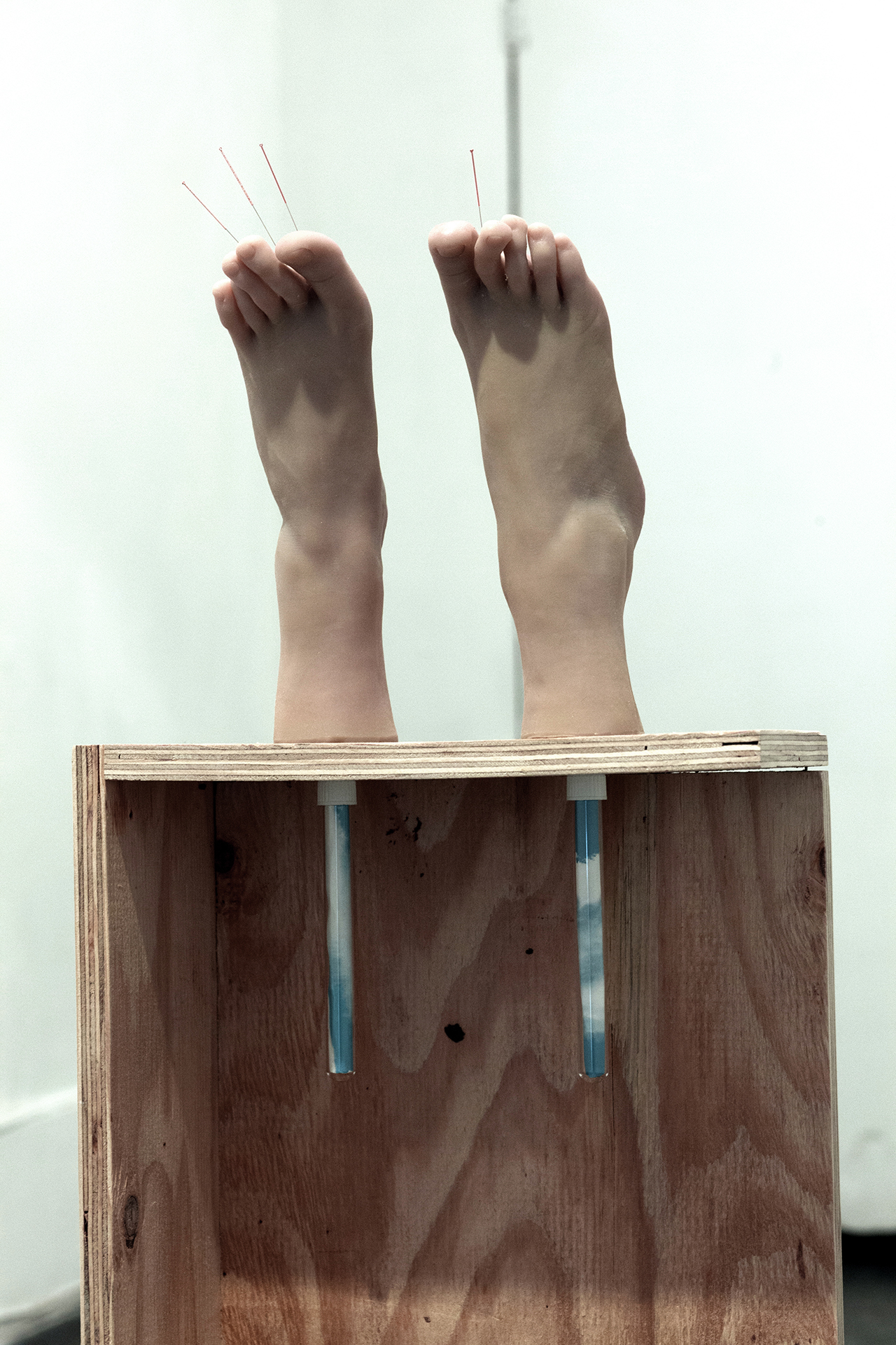 Maryam Jafri. Anxiety (2017). 12.5"x 6.75" x 40.5". wood, silicone feet, acupuncture needles, test tubes, paper. Detail