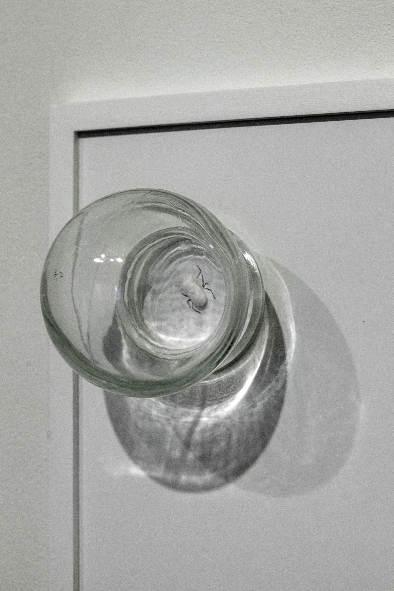 Maryam Jafri. ANT (Automatic Negative Thought) (2017). 12"x 5"x 9". Inkjet on paper, graphite, pill, cupping glass. Detail