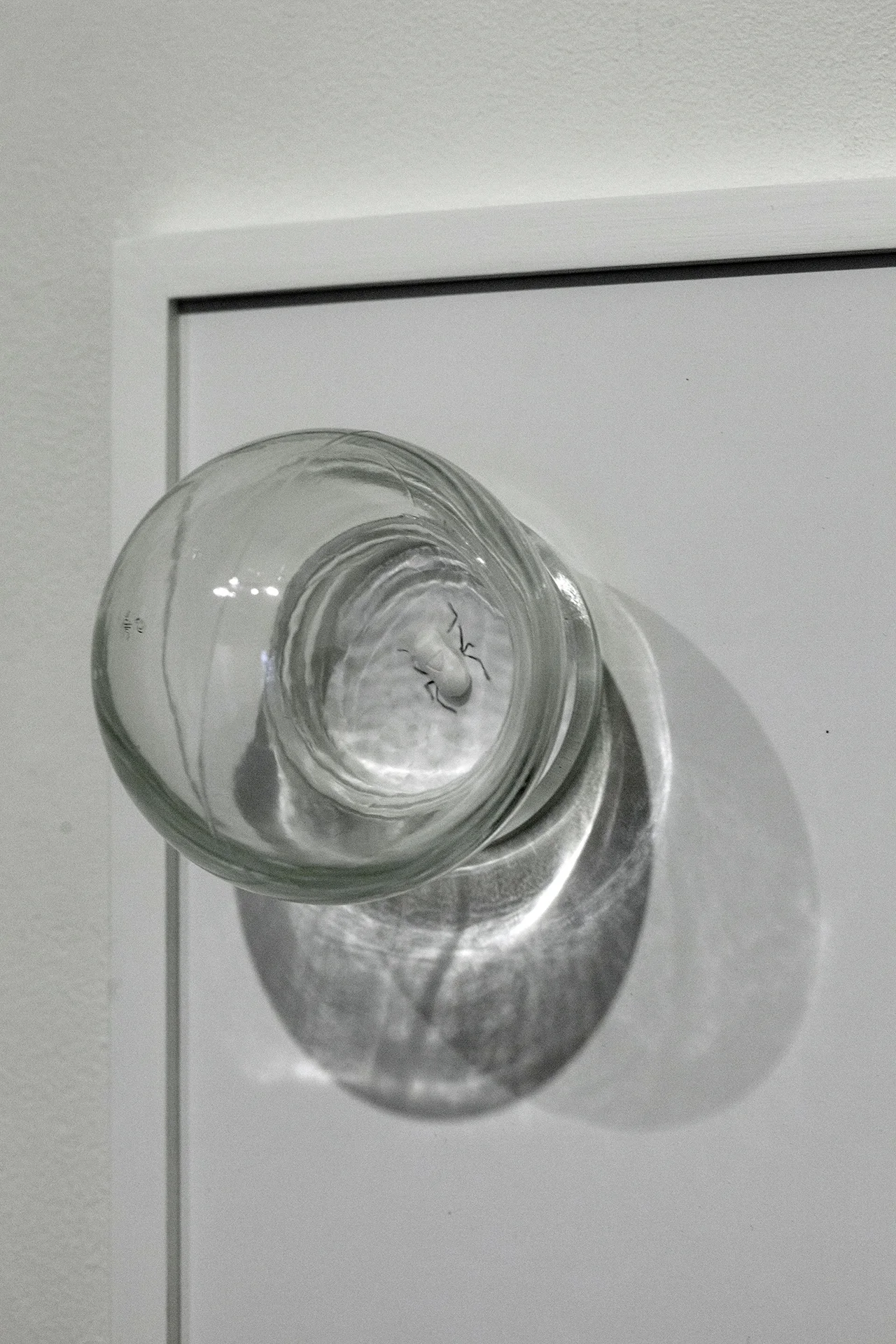 Copy of Maryam Jafri. ANT (Automatic Negative Thought) (2017). 12"x 5"x 9". Inkjet on paper, graphite, pill, cupping glass. Detail