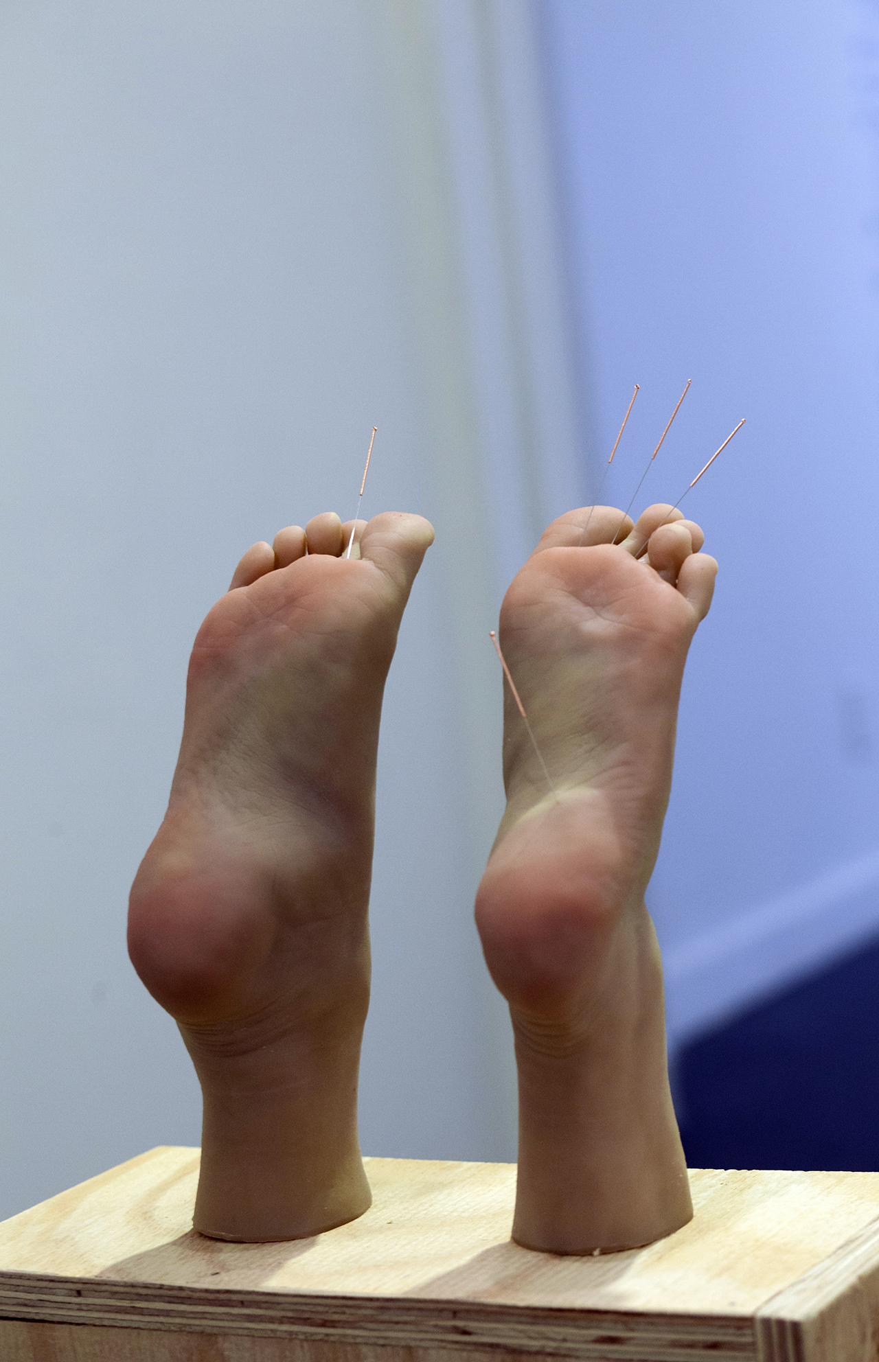 Copy of Maryam Jafri. Anxiety (2017). 12.5"x 6.75" x 40.5". wood, silicone feet, acupuncture needles, test tubes, paper. Detail