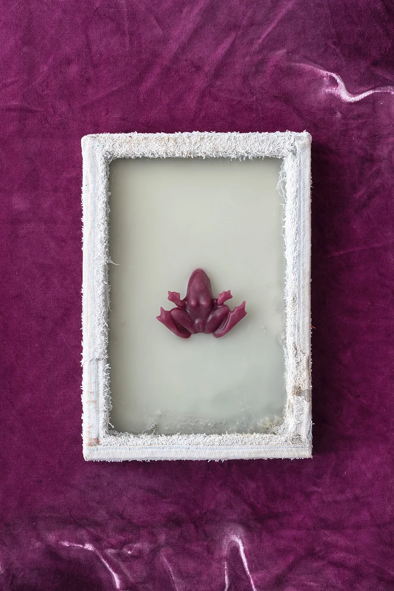 Pedro Wirz — Breastfed Tadpole