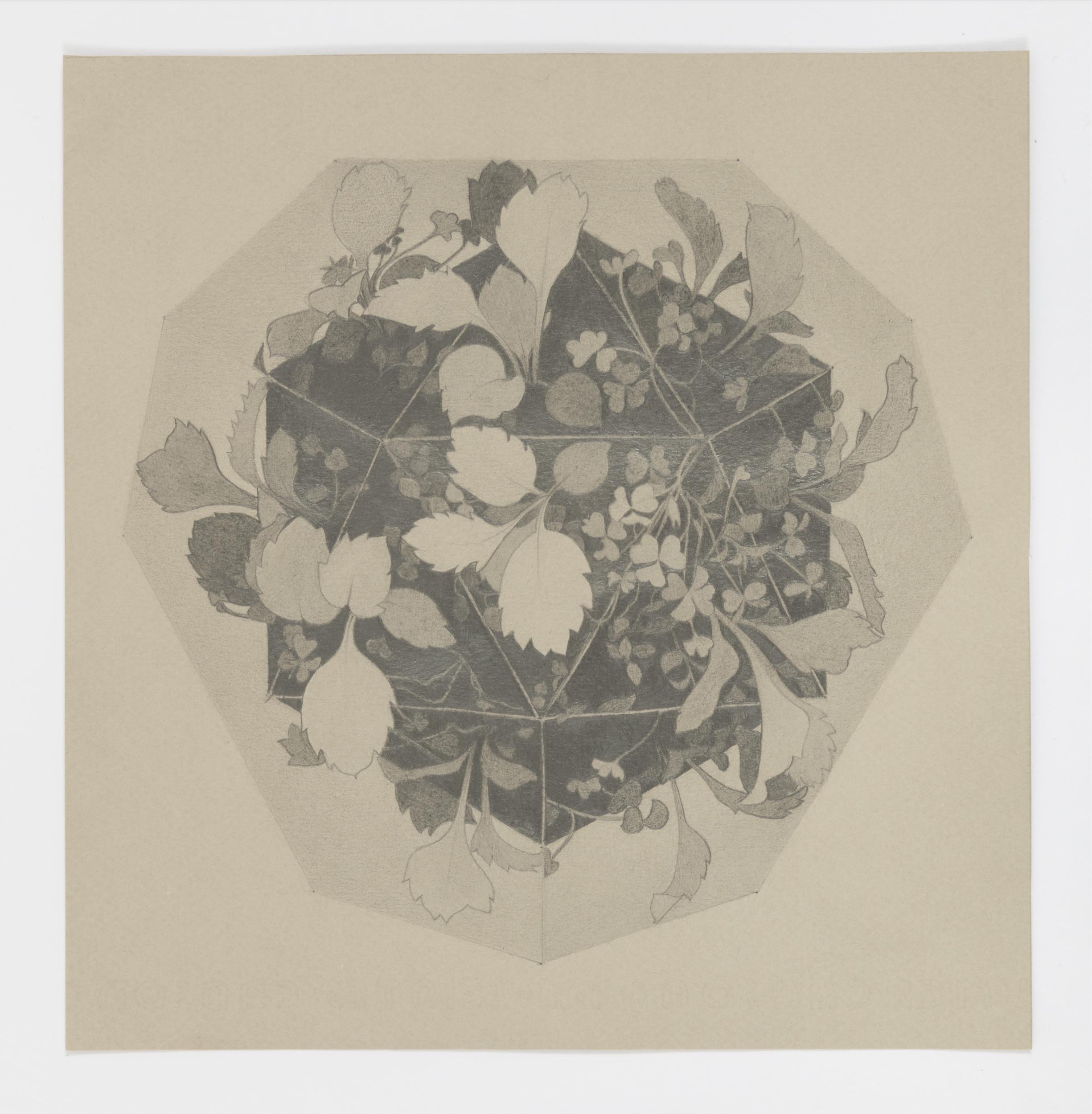  Hexagon Garden 4, 2018 graphite on paper 8.5 x 8.25 in. &nbsp; 22 x 21 cm 