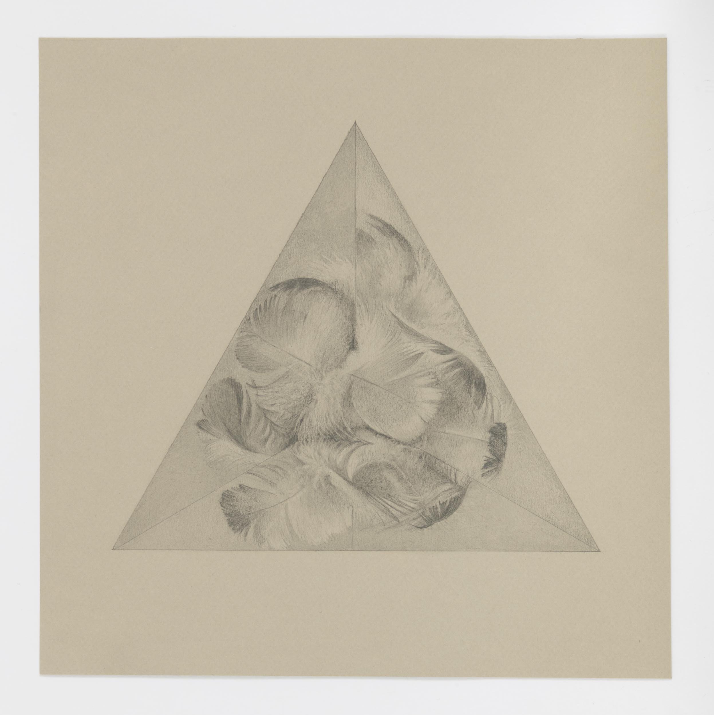  Pyramid Feather, 2021 graphite on paper 10.5 x 10.5 in. &nbsp; 26.7 x 26.7 cm. 