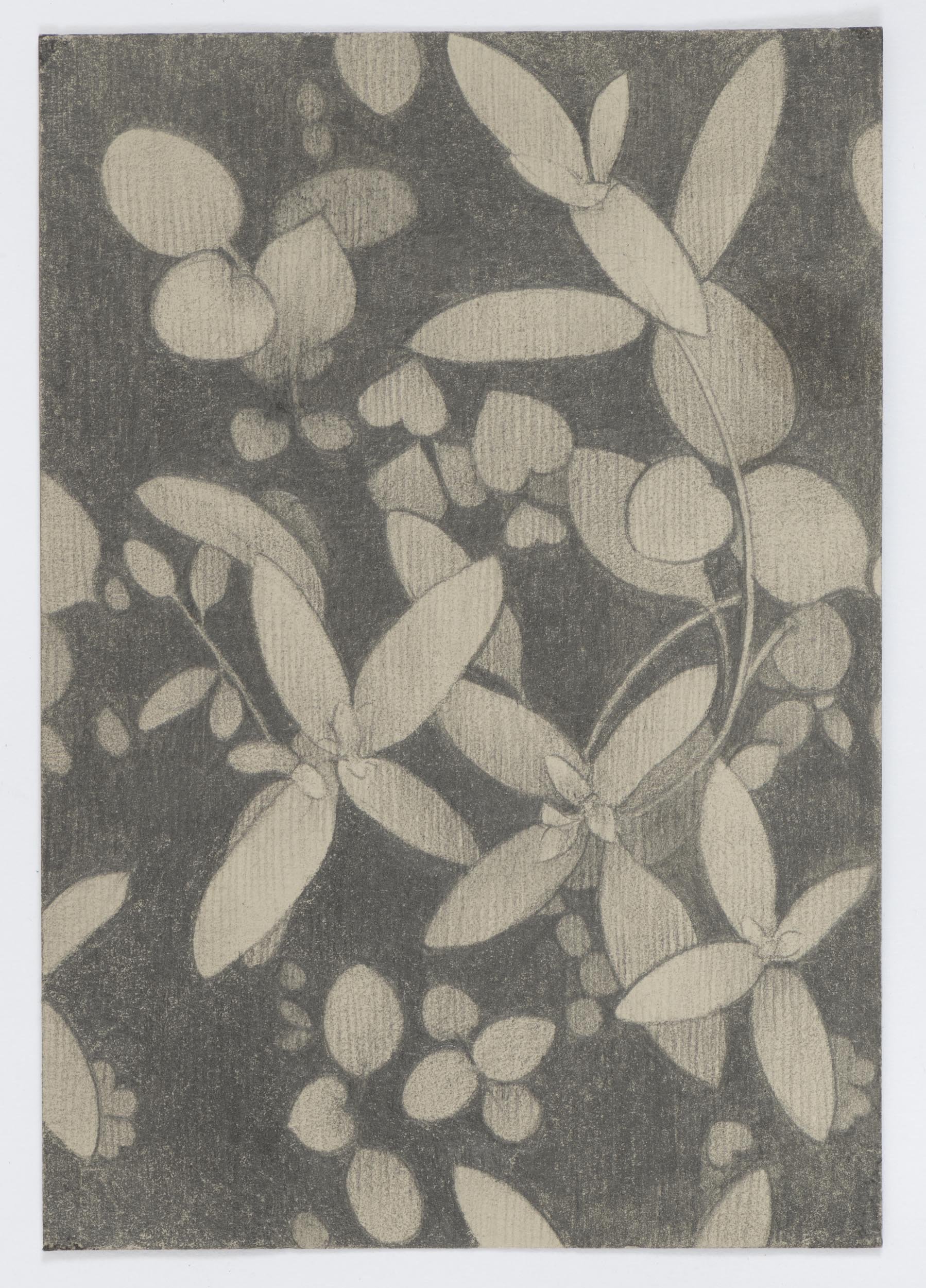  Leaf Structure 6, 2017 graphite on paper 5⅛ x 3½ in. &nbsp; 13.02 x 8.89 cm. 