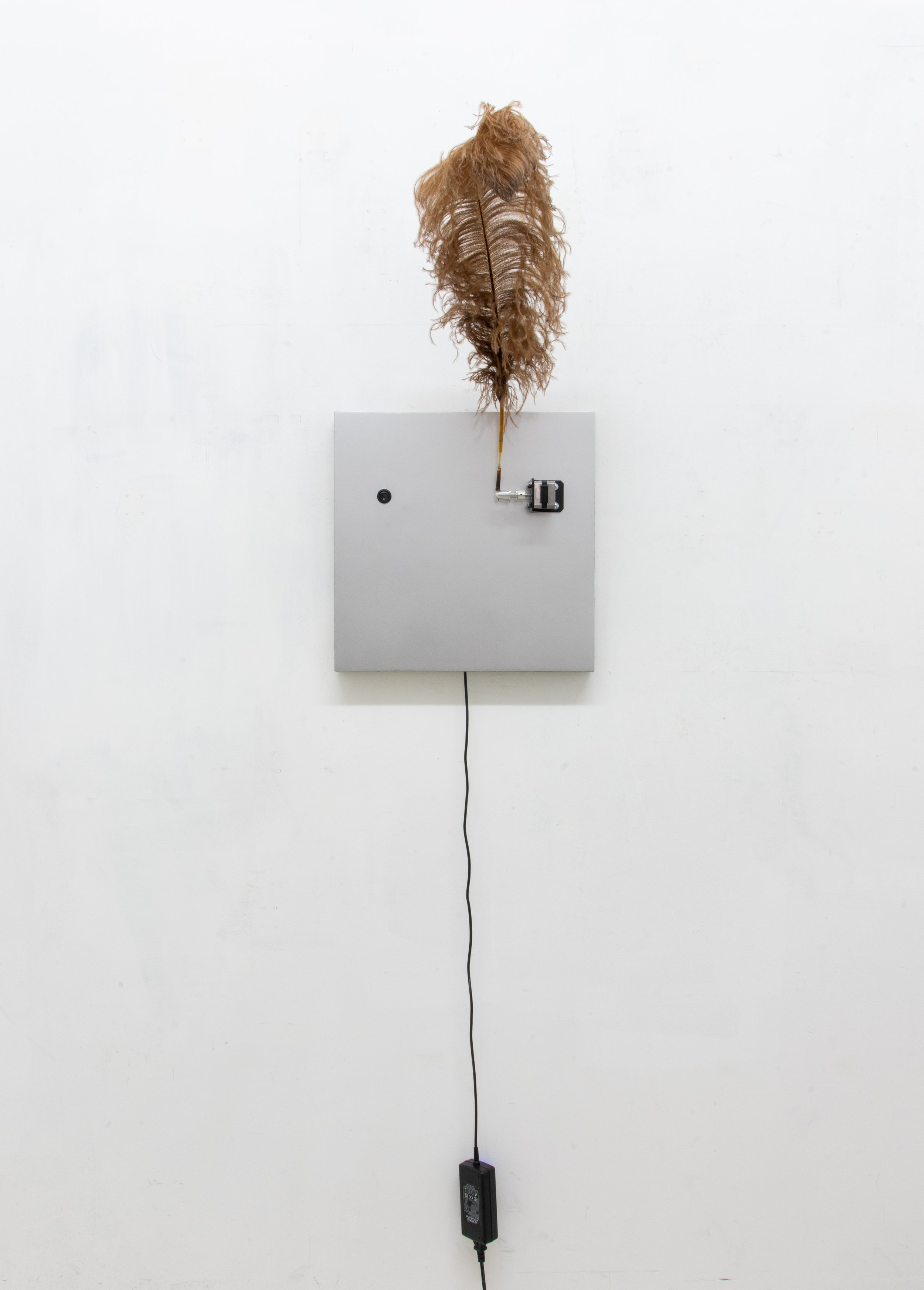  Untitled, 2023 Ostrich feather, prop adapter, stepper motor, bracket, wire, docking connector, PCB board, Arduino Nano, 12V adapter, enamel on linen 50 x 16 in. &nbsp; 127 x 40.64 cm 