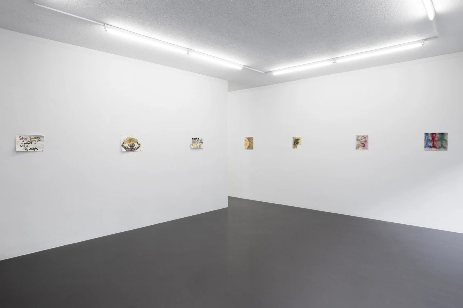 Where do I put myself, if public life’s destroyed? — installation view, Weiss Falk, Basel, Switzerland