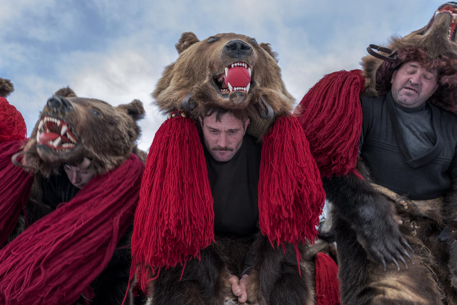  A troupe of bears from Asău village performs in central Comăneşti during the town's annual Bear Parade and Competition. December 30, 2014. Comăneşti town, Bacău county, Romania. 