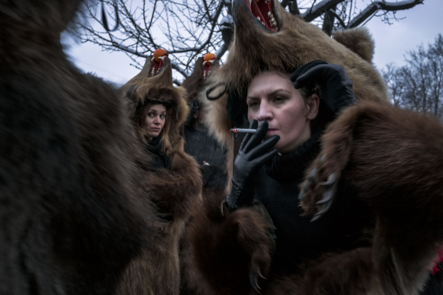  Troupes of bears from nearby towns and villages gather in Moineşti during the town's annual Bear Parade. Although in the minority, lady bears can be found in nearly every troupe. December 27, 2014. Moineşti town, Bacău county, Romania. 