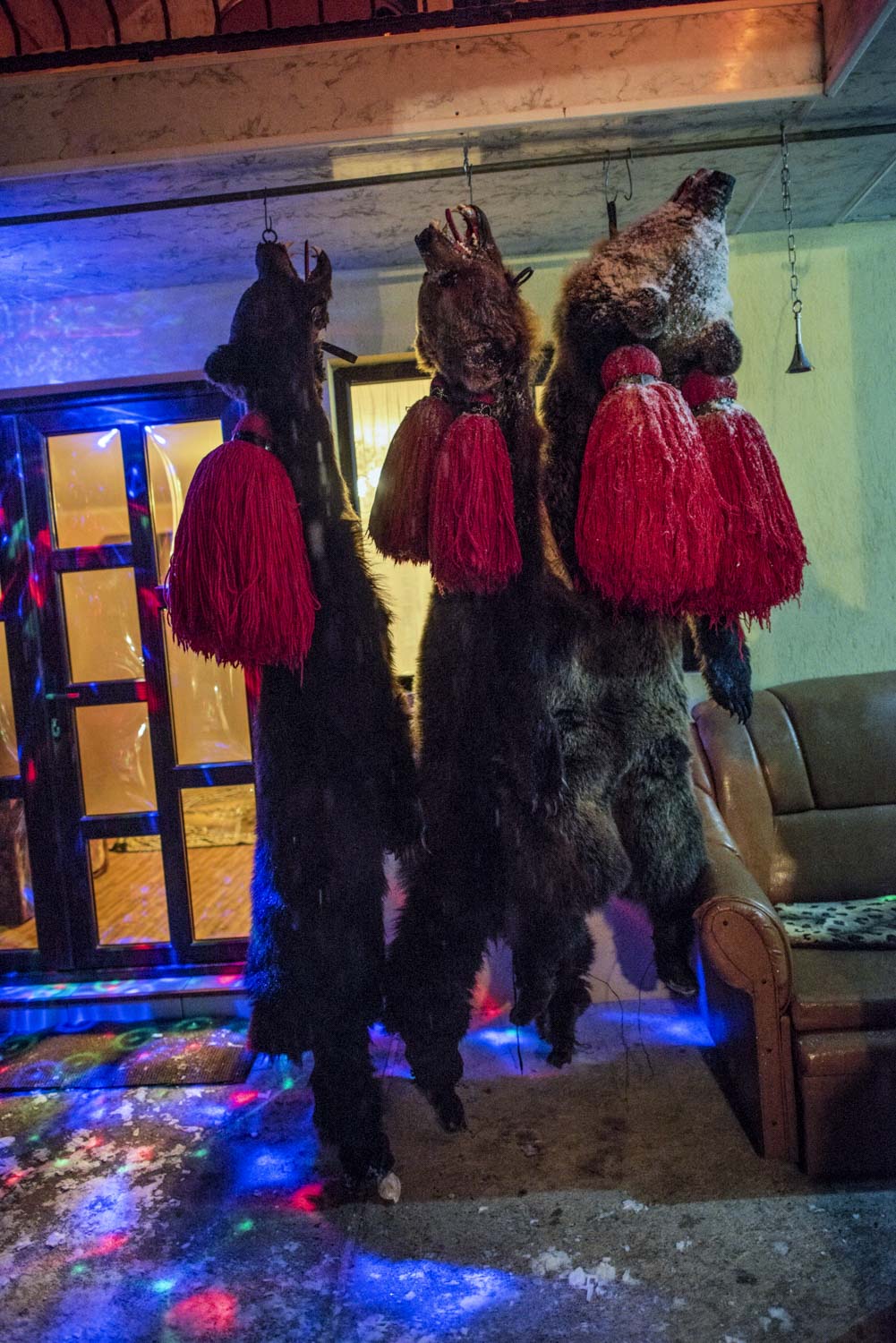  At the end of each night, bear skins hang from hooks on the ceiling of Tolaocă's front porch. December 28, 2014. Laloaia village, Bacău county, Romania. 