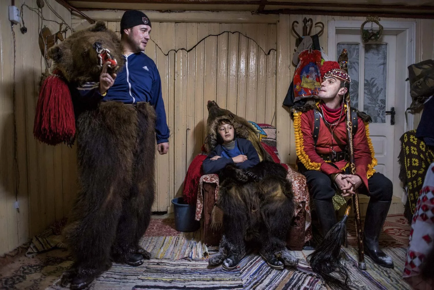 Dancing Bear Parties