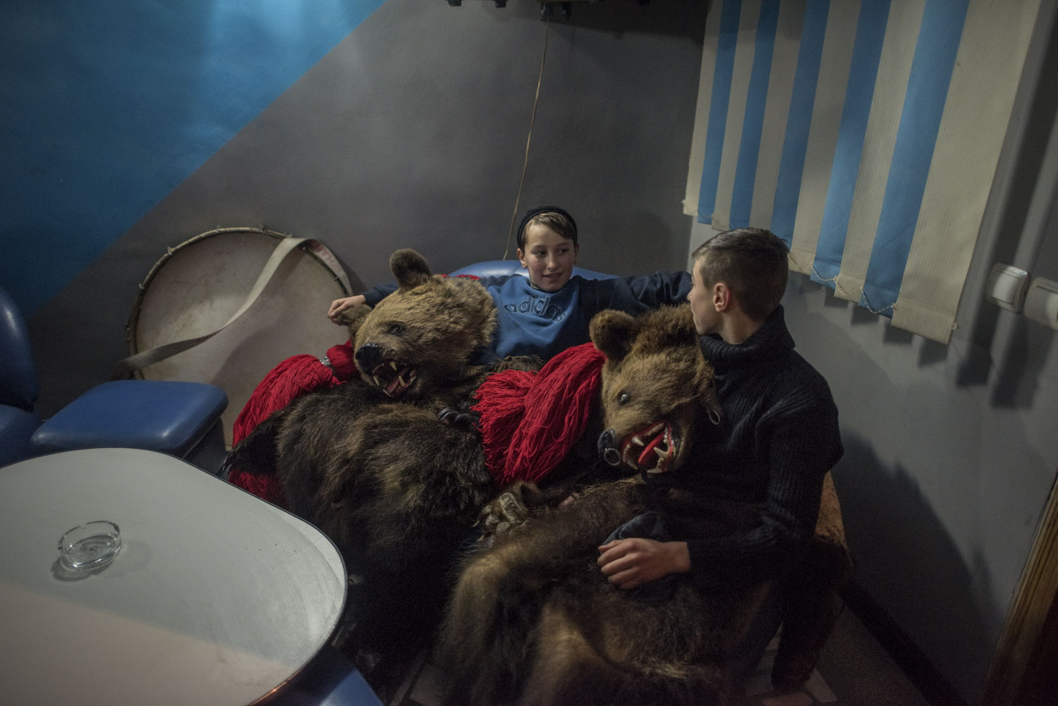  Two young bears chat in the corner of a bar where the rest of Toloaca's troupe has stopped for a rest,&nbsp;in between their visits to the private homes where they've been invited to perform. December 28, 2014. Asău village, Bacău County, Romania. 