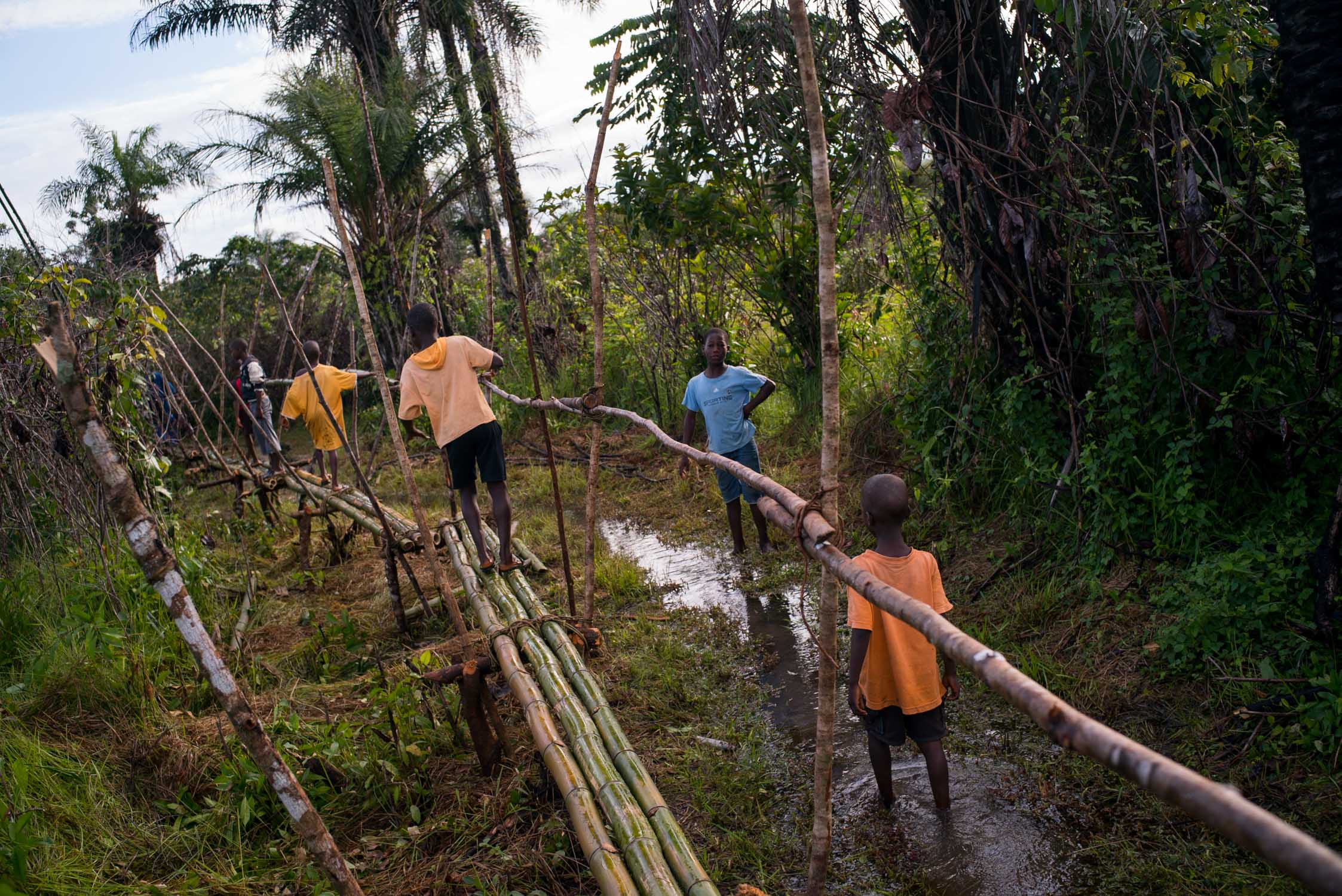  Children walk across a newly built bamboo bridge in order to cross a swamp area that stands between them and their school in Bogbeh village. It took four years for the villagers to gather the funds mecessary to build this bridge, roughly $160. By us