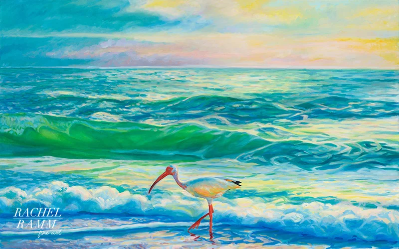 White Ibis