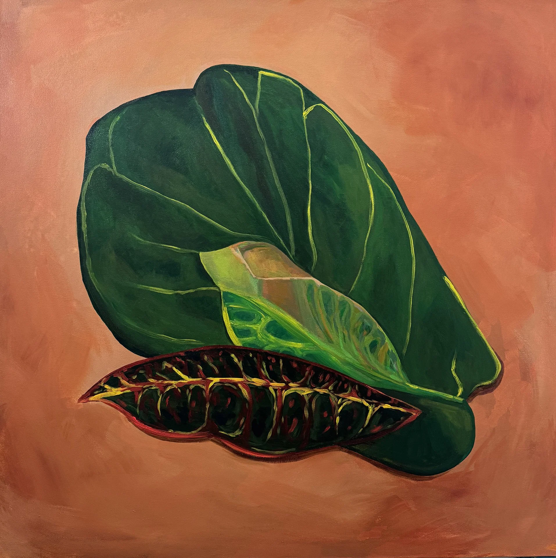 Fiddle Leaf